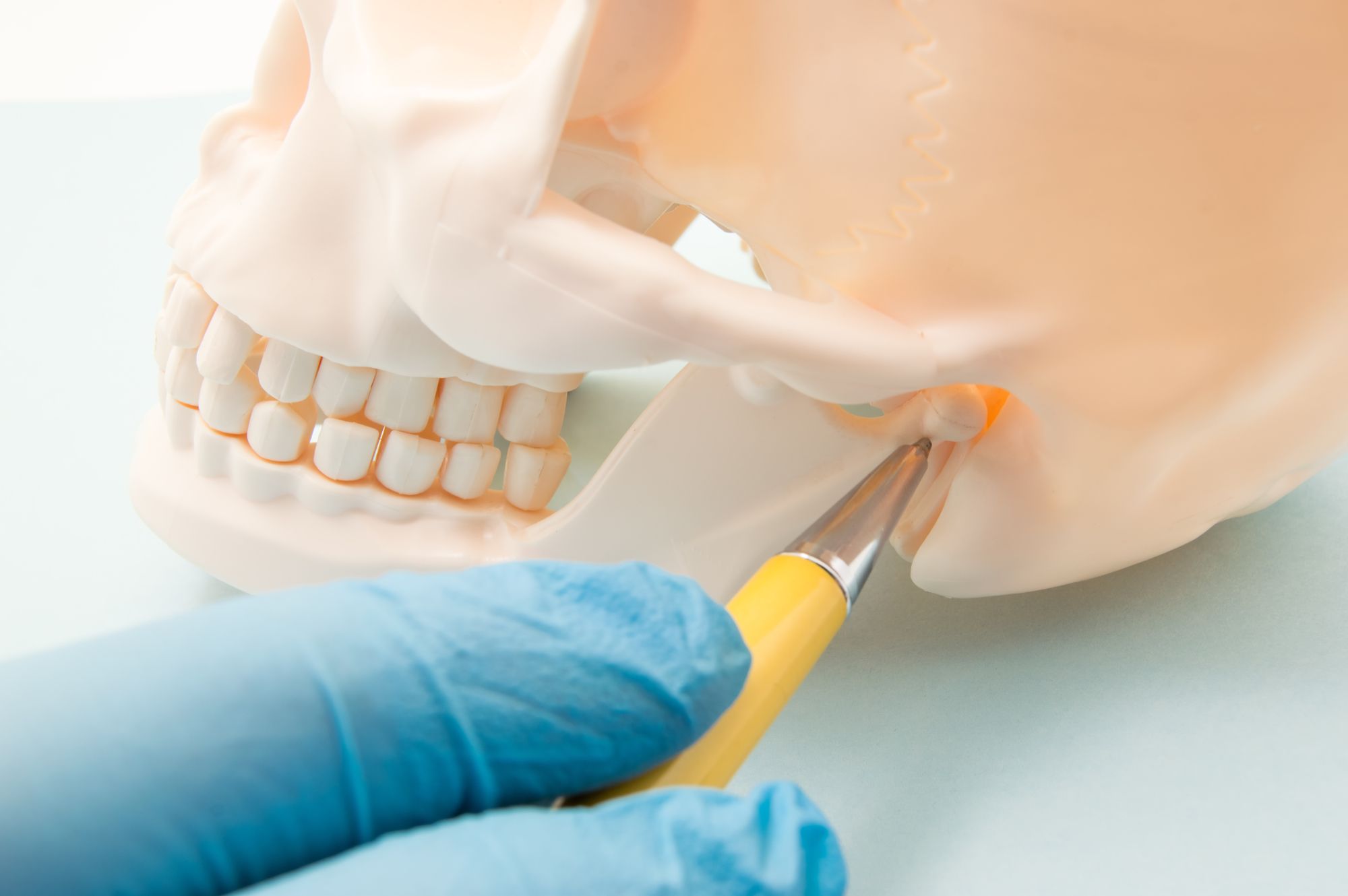 dentist showing where TMJ issues can happen